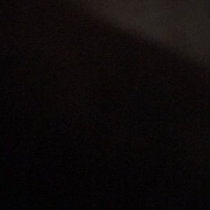 Meet your Posher, Ani